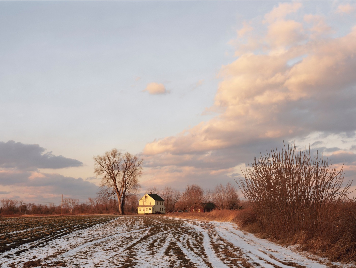 A lone farmhouse beside a bare tree in a snowy field at dusk